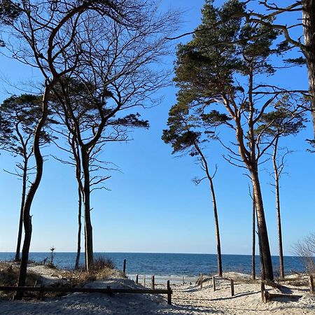 Ferienwohnung Strandkoje Dierhagen Exteriér fotografie