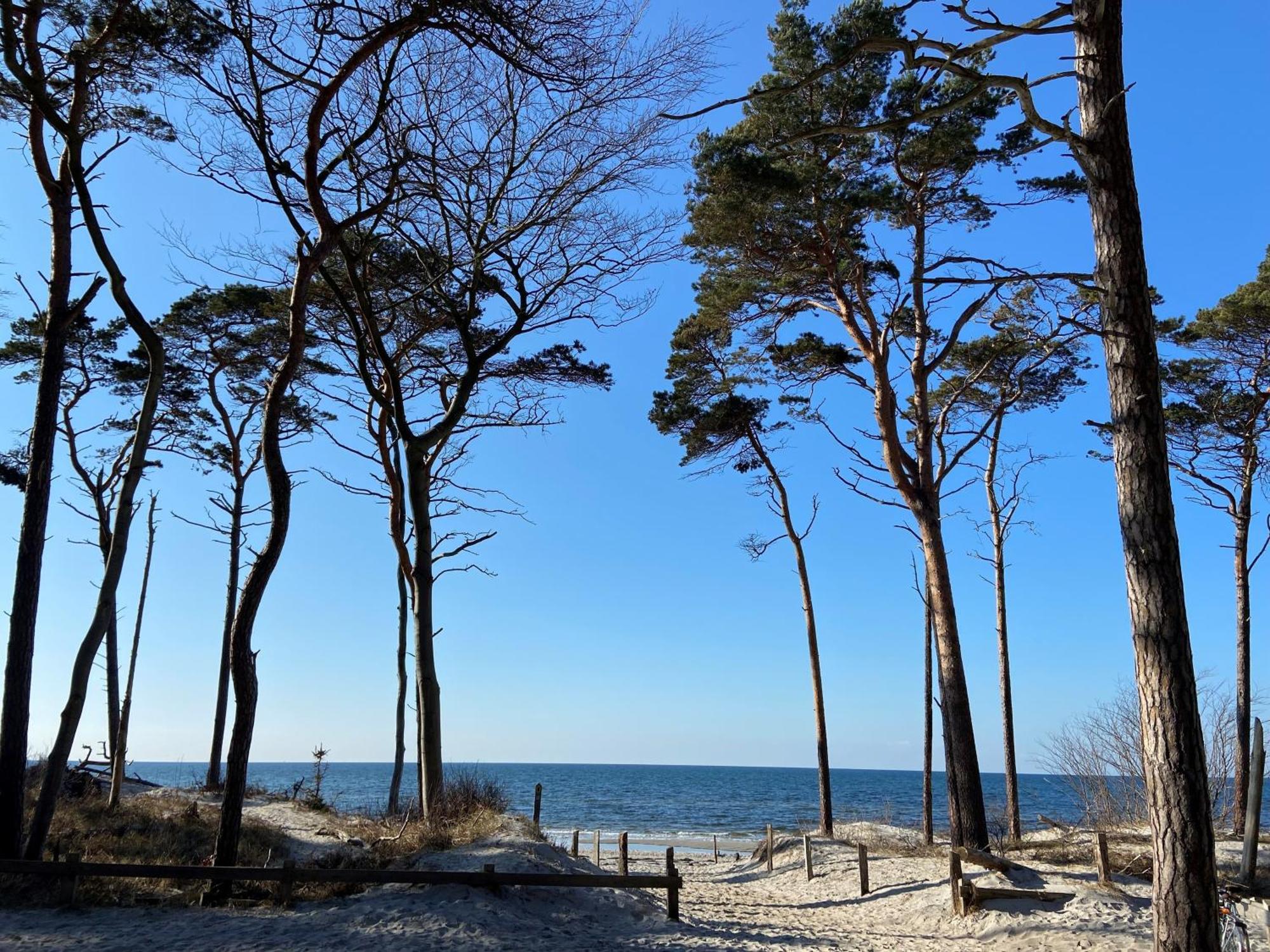 Ferienwohnung Strandkoje Dierhagen Exteriér fotografie