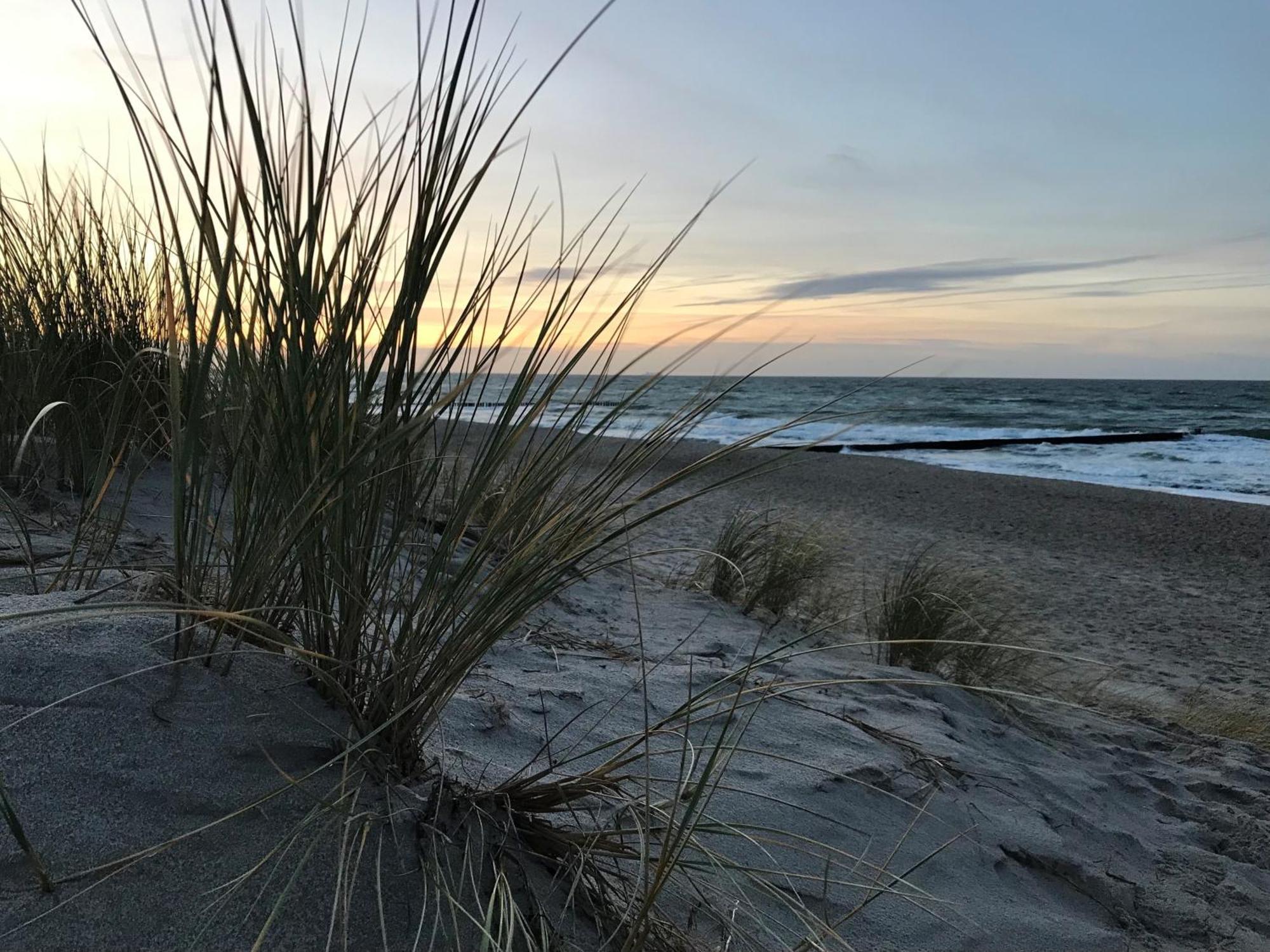 Ferienwohnung Strandkoje Dierhagen Exteriér fotografie